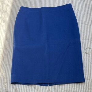 Elegant Blue jcrew Women's Skirt